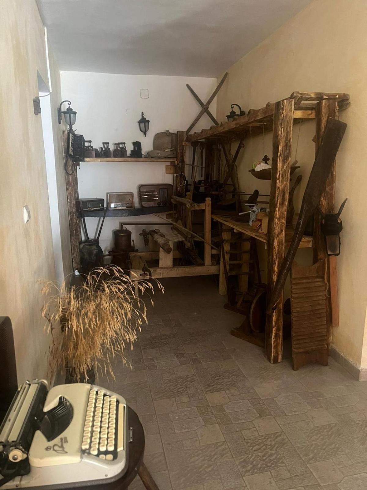 دوبوفا Casa De Oaspeti Dunarea La Cazane المظهر الخارجي الصورة